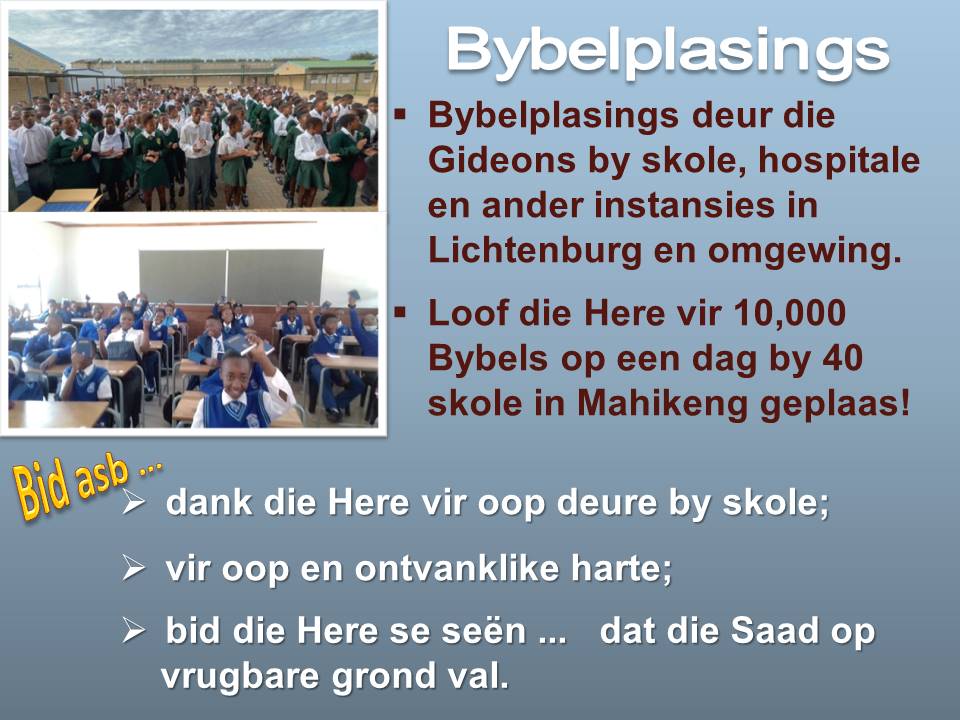 wereldfokus sendelinge